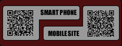 MOBILE SITE